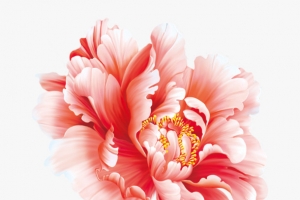 红色精美手绘中国风牡丹