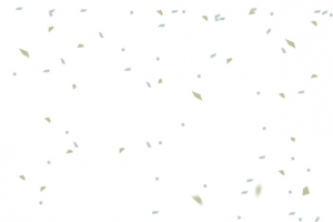 飘扬绿色白色矩形