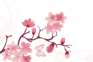 樱花节花纹