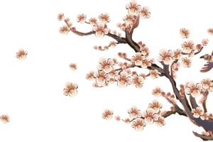 花，梅花，淘宝素材，花纹，花絮