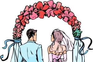 矢量夫妻