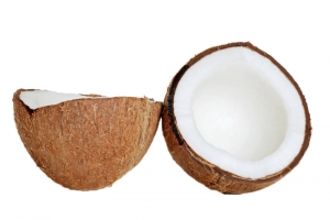 手绘椰果高清PNG透明动植物植物设计素材免费下载