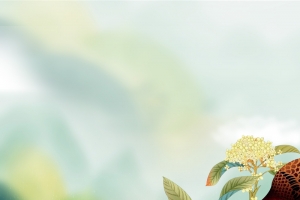 绿色手绘二十四节气立春海报