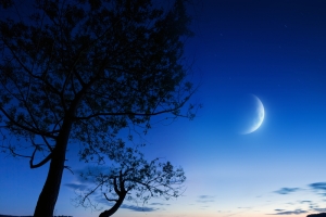 湖岸边的夜景
