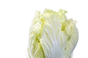 火锅白菜娃娃菜