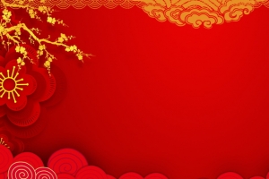 喜庆新年海报图