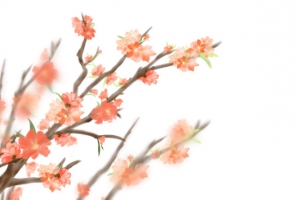 春天樱花装饰元素树枝