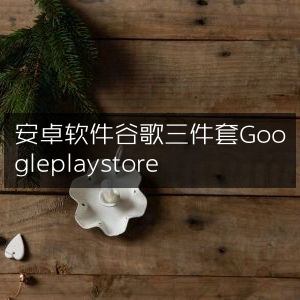 安卓必备，谷歌三件套及Google Play Store下载指南