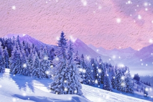 大雪大气雪顶大山雪松banner
