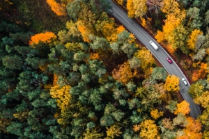 路在树林里 航空摄影3440x1440壁纸
