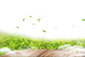 小清新风淘宝茶叶海报banner