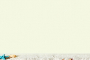 海报 淘宝 banner