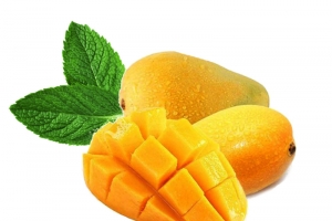 小台芒与绿叶图片素材