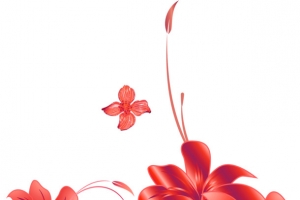 红色七夕情人节花朵
