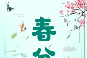 24节气春分背景海报