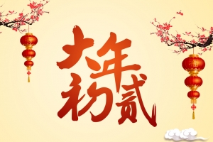 2018中国风大年初贰回娘家海报