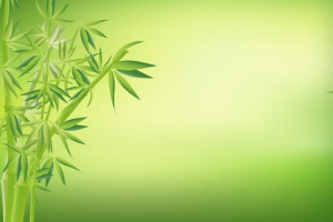 绿色竹子背景海报