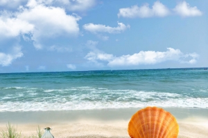 初夏上新－你好大海