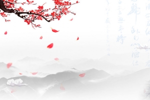 养生茶广告海报背景