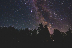 星空 银河 树木 星星 夜晚 闪耀 深色 4k壁纸 3840x2160