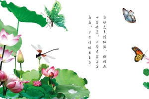 荷花蝴蝶蜻蜓