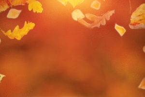 黄色渐变温暖万圣节南瓜摄影背景