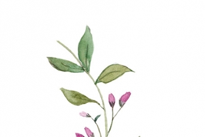 圣诞节手绘花纹素材