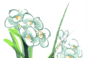 彩墨水仙花