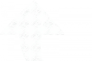 向上的箭头的粉笔画