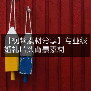 专业婚礼片头背景视频素材分享