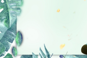 小清新船袜防臭透气banner