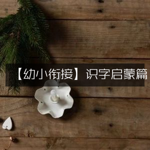 幼小衔接，开启识字之旅的启蒙篇章
