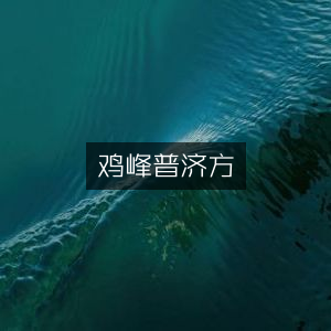鸡峰普济方，古典医学文集精选