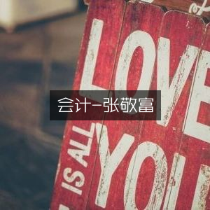张敬富会计专业指南