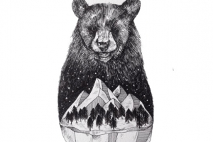 创意素描铅笔画熊
