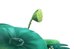 手绘夏日荷叶中国风插画高清PNG透明设计素材免费下载