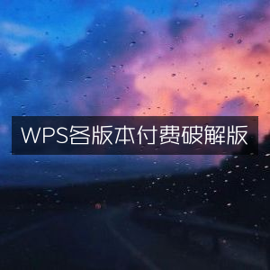 WPS各版本官方授权获取指南