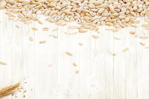 麦子洒落电商木板banner