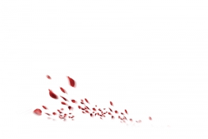 花瓣雨