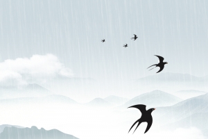 春天雨水燕子房屋雨滴树枝