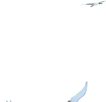 白色天空中的大雁中秋