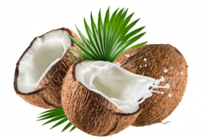 椰子