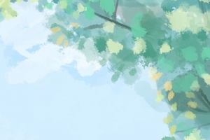 蓝色小清新树叶App手机端H5背景