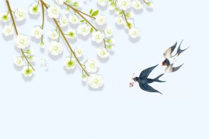 梨花开燕子来