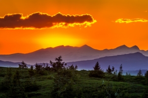 日落 树 山 自然 太阳 天空 5K风景壁纸