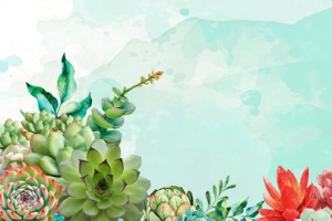 绿色渐变背景多肉全屏海报psd模板banner