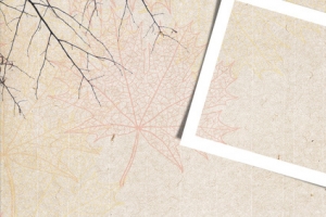 九月你好秋季照片电商banner