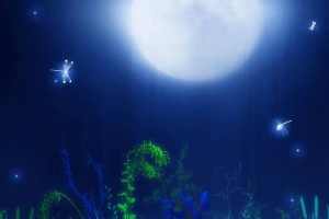 月下草丛荧光蜻蜓梦幻海报背景
