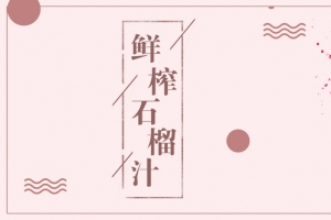石榴汁简约红色banner