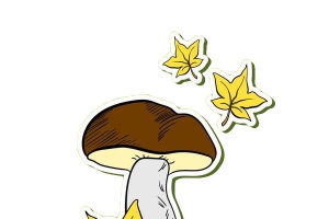 手绘蘑菇枫叶贴纸